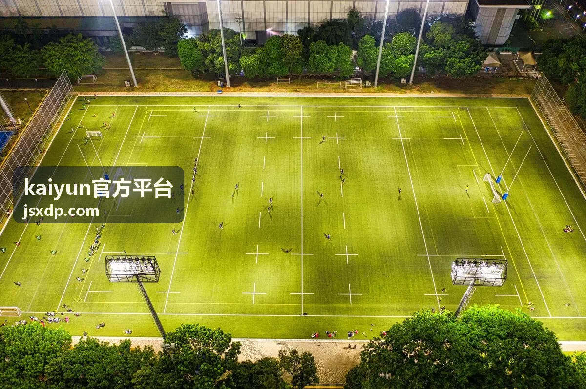 kaiyun官方平台账户安全管理与登录设置示意