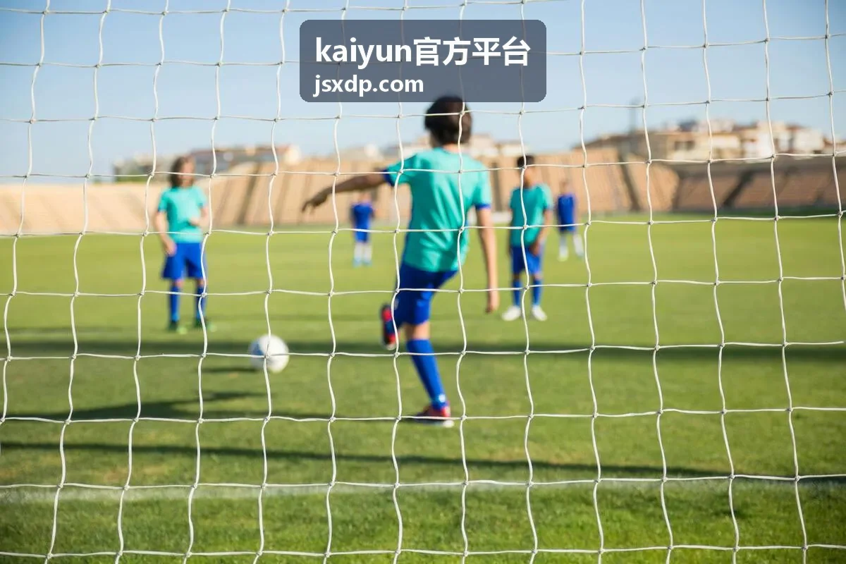 kaiyun官方平台平台服务方案的办理流程与资料准备示意