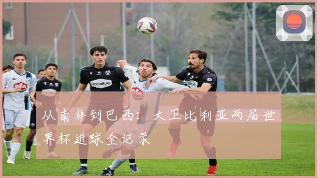 从南非到巴西:大卫比利亚两届世界杯进球全记录
