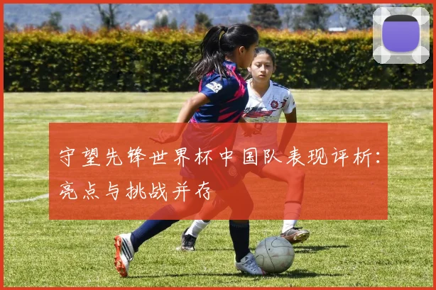 守望先锋世界杯中国队表现评析：亮点与挑战并存